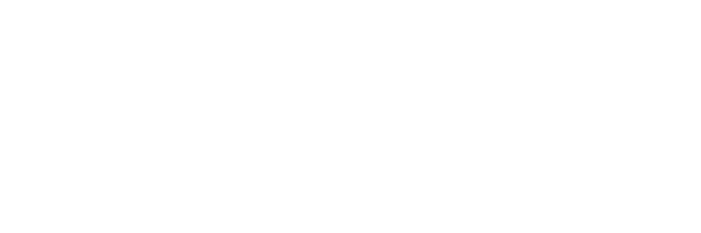 room-flowy-png-logo