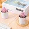 Pink faux succulent plants in modern pot for office desk