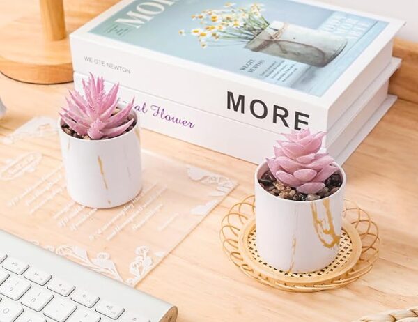 Pink faux succulent plants in modern pot for office desk
