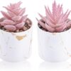 Pink mini artificial succulent plants set of 2 decorative desk decor