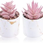 Pink mini artificial succulent plants set of 2 decorative desk decor