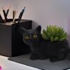 Decorative black cat resin organizer for desk