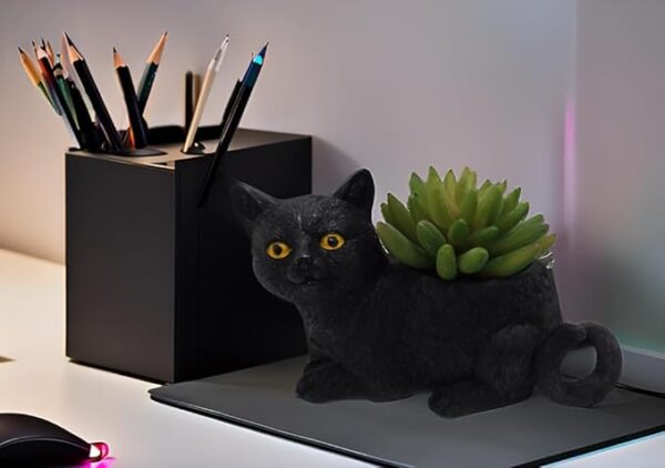 Decorative black cat resin organizer for desk