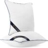 Premium 18x18 White Pillow Inserts for Sofa and Bed